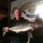 bluefish bluefish