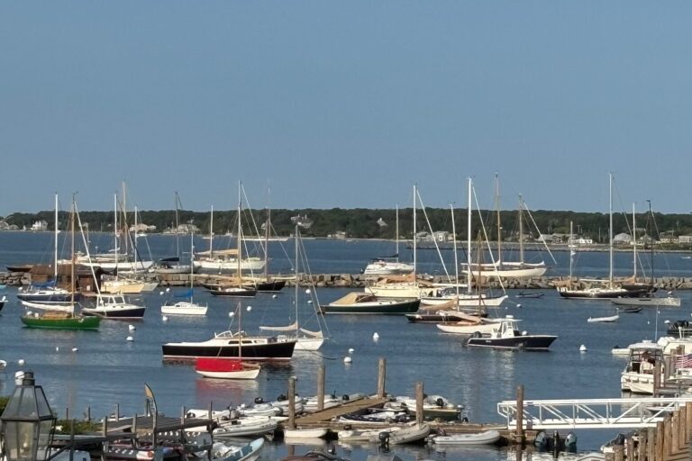 Sailboats on their moorings in Vineyard Haven harbor